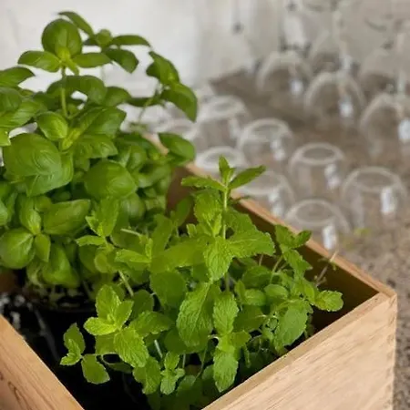 Hostel Faaborg Vandrehjem Faaborg