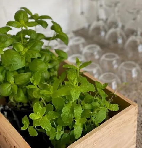 Hostel Faaborg Vandrehjem Faaborg